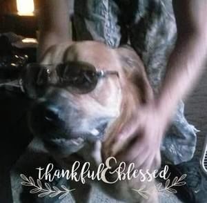 Meet your Posher, Monica